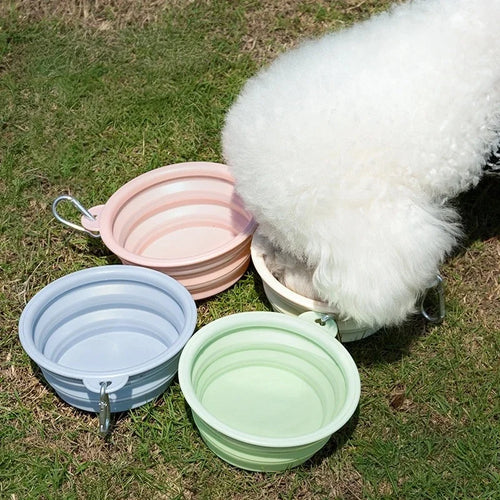 The Macaron Travel Bowl | Collapsible & Portable Pet Basin